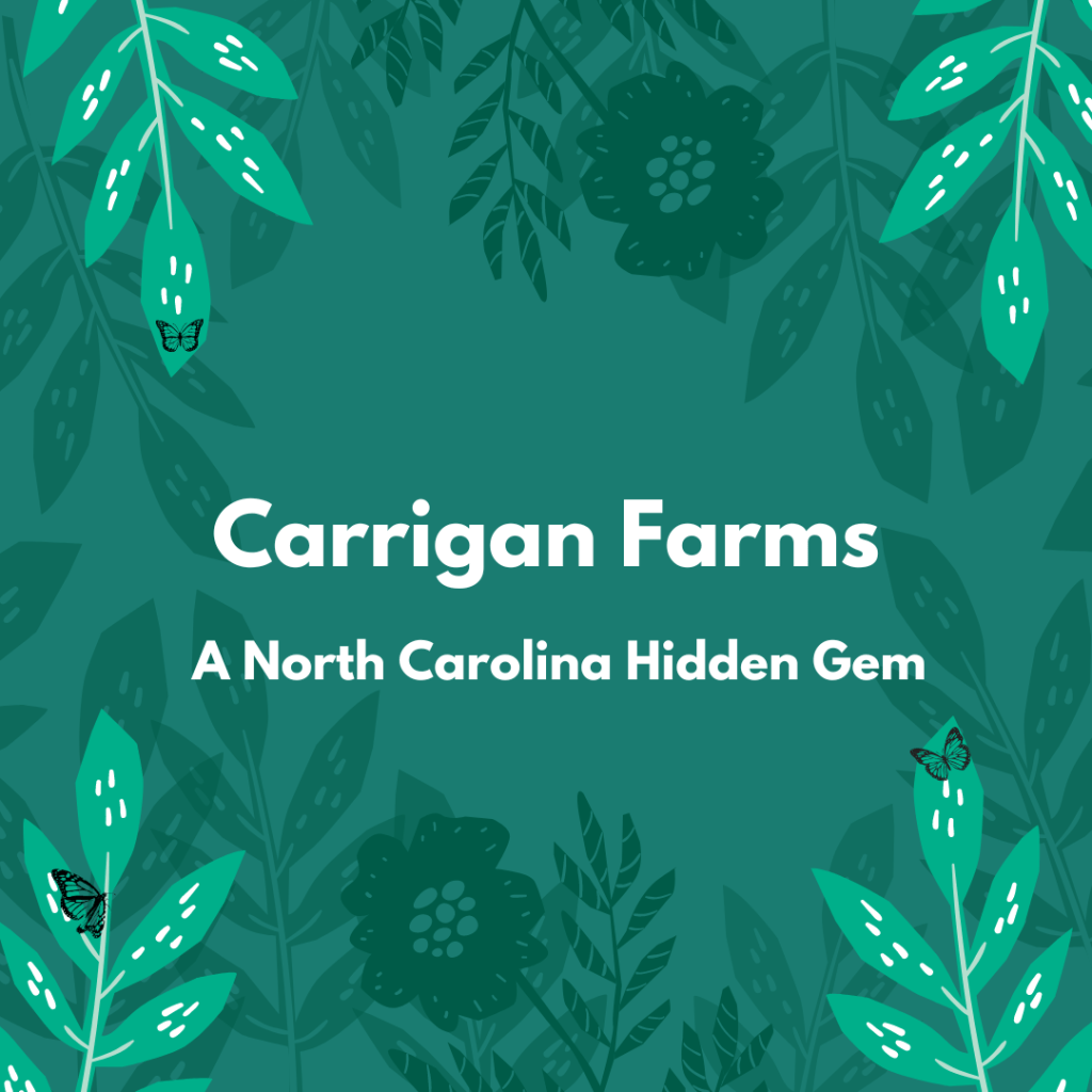 Carrigan Farms – A North Carolina Hidden&nbsp;Gem